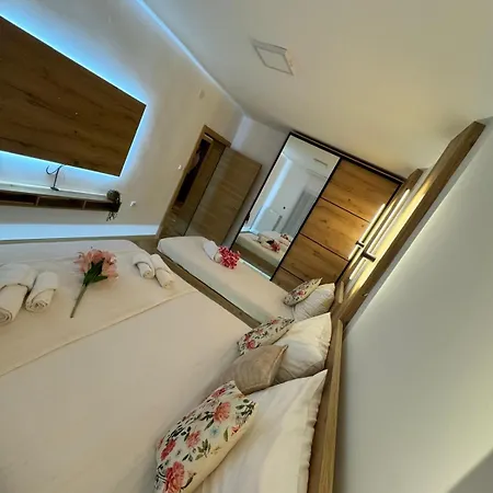 Apartment Viktor Lux *