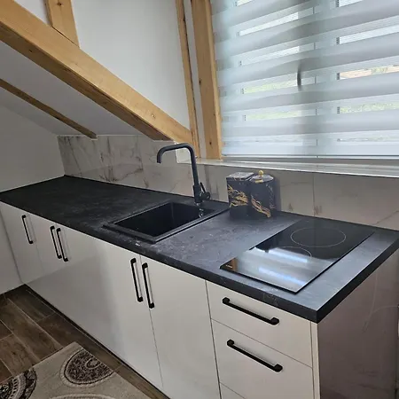 Apartment Viktor Lux