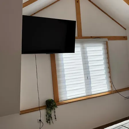 Apartment Viktor Lux Soko Banja