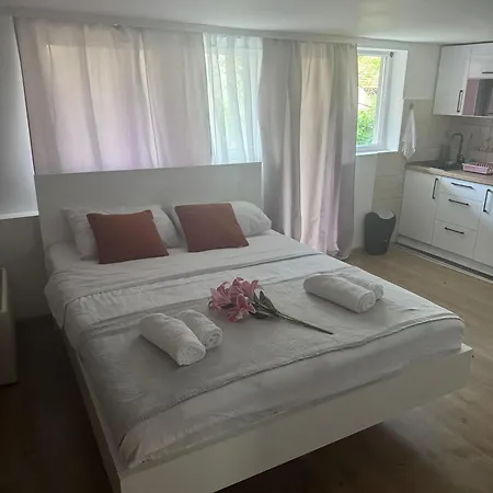 Apartment Viktor Lux